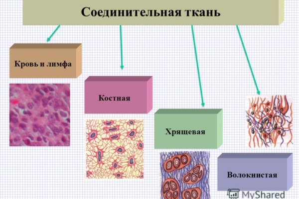 Как зайти на кракен тор