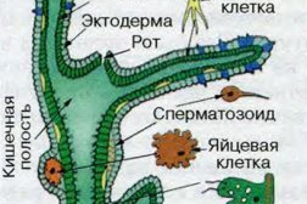 Кракен вход зеркало